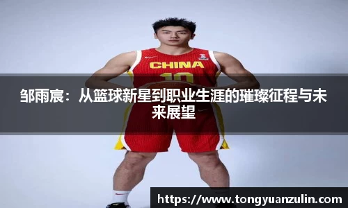 完美体育官网