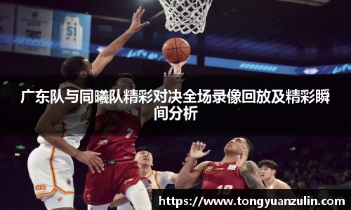 完美体育登录入口