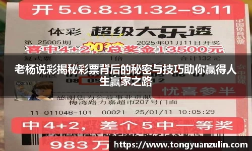 老杨说彩揭秘彩票背后的秘密与技巧助你赢得人生赢家之路