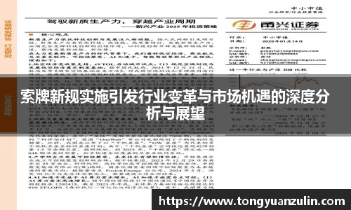 索牌新规实施引发行业变革与市场机遇的深度分析与展望