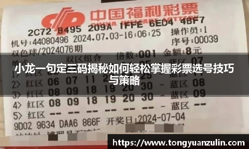 小龙一句定三码揭秘如何轻松掌握彩票选号技巧与策略